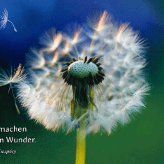 Und alle sagten: "Wir schaffen das. Wir geben Vicky ein Zuhause."